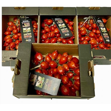 Pomodoro del Piennolo del Vesuvio Dop