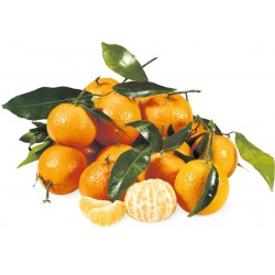 Clementine con Foglia Italiane senza semi