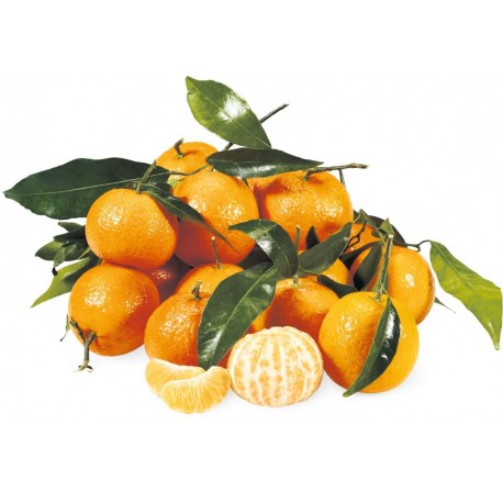 Clementine con Foglia Italiane senza semi