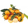 Clementine con Foglia Italiane senza semi