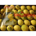 Limoni di sorrento
