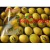 Limoni di sorrento