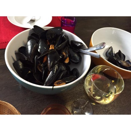 Cozze fresche dell'adriatico