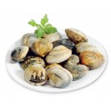 Vongole Veraci fresche dell' adriatico