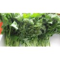 Frijarielli broccoli napoletani consegna gratuita Vienna