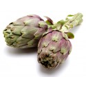 Carciofi 20 pz. prodotti freschi italiani consegna a domicilio gratuita Vienna