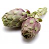 Carciofi 20 pz. prodotti freschi italiani consegna a domicilio gratuita Vienna