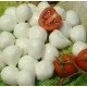 Ciliegine di Mozzarella di latte di bufala della Campania da 500 g