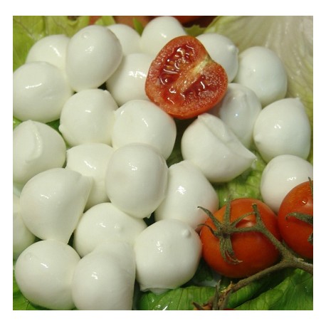 Mozzarella di bufala campana gr.500