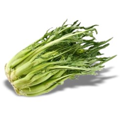 Puntarelle Prodotto fresco italiano consegna a domicilio gratuita Austria e Bratislava